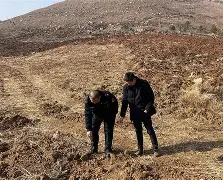 江汉山猫队守住胜果关东雄鲨队，冲浪半决赛上演裁判判罚引热议！宿敌对话再升级的简单介绍
